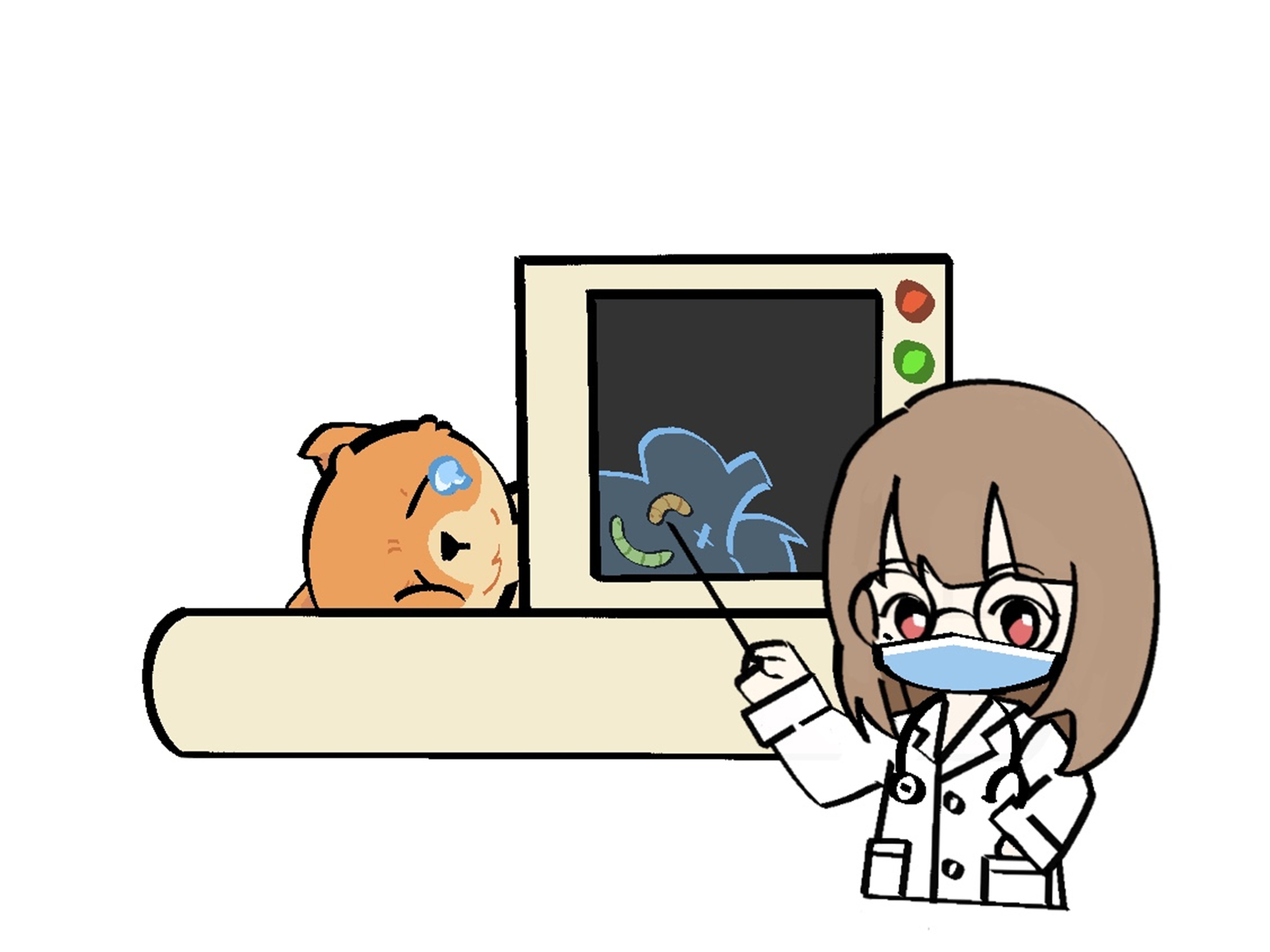 狗狗如何慢慢吃食,狗狗不吃食怎么办