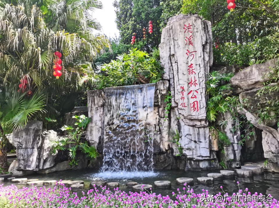 6月1日儿童节广州可以去哪里玩,广州门票便宜又适合儿童玩的地方