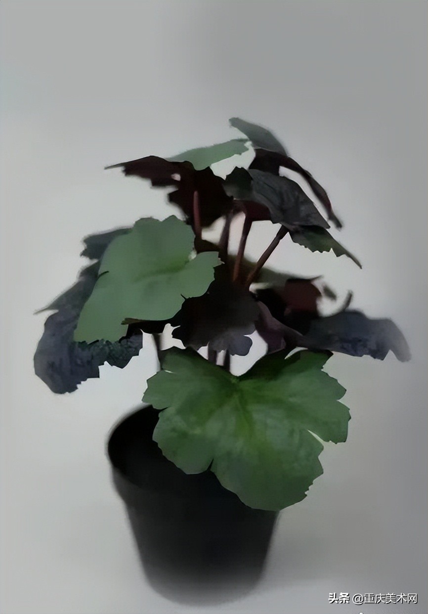 2022年八大美院校考考题,八大美院校考难度排名