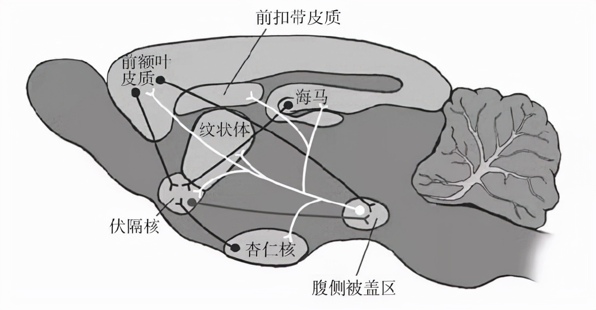 王晟投资人,英诺天使基金王晟