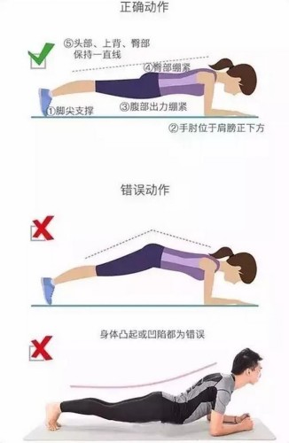 平板支撑一招搞定,各种明星平板支撑视频
