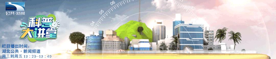 备孕做好这些准备,科学备孕注意事项和准备