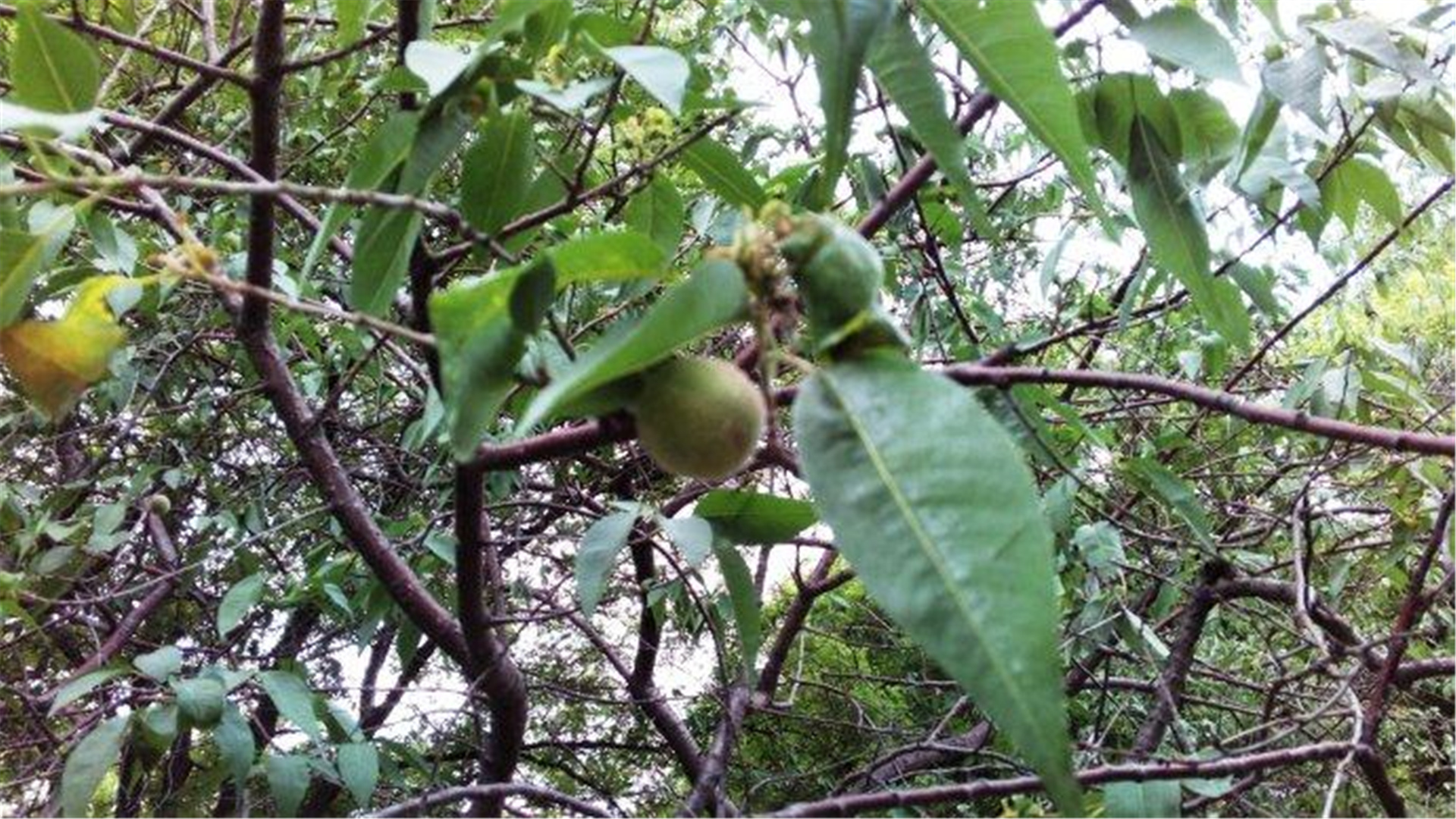 北京的公园门票2元,北京门票良心