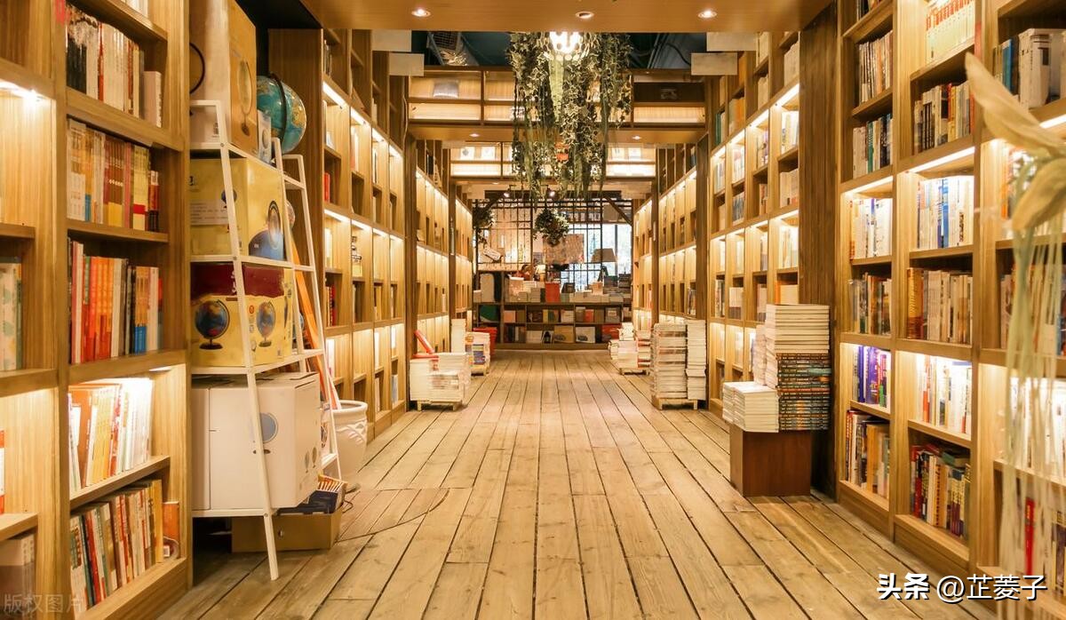 初学政治必看的十本书,通俗易懂的政治类书籍排行榜