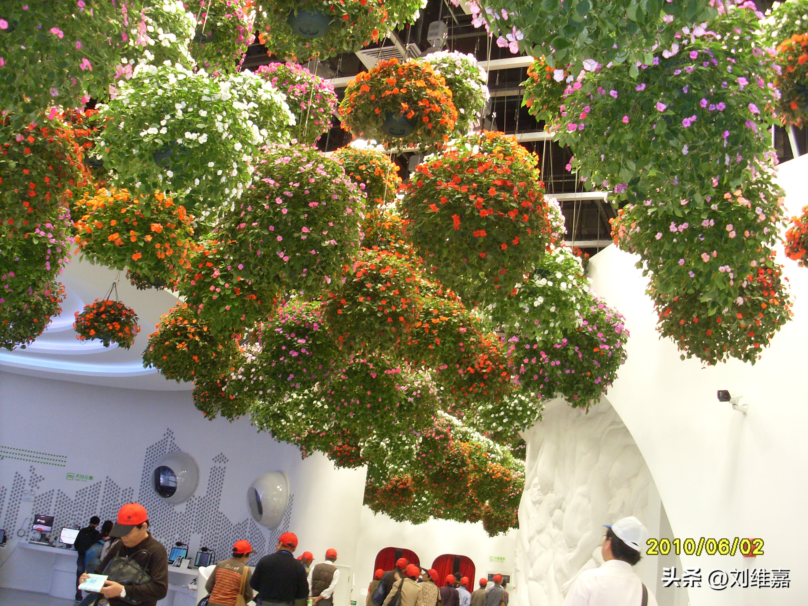 感受世博，领略人类文明