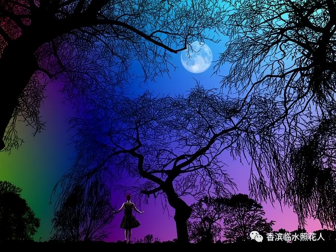 奋斗成就梦想600字的作文,奋斗成就梦想作文演讲稿