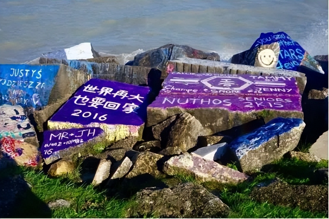 节奏快压力大假期短?文理兼修、景美安全才是真正的它—西北大学