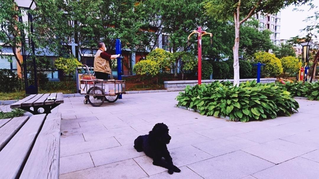 养狗人的视频,养狗人皮肤过敏的症状和表现