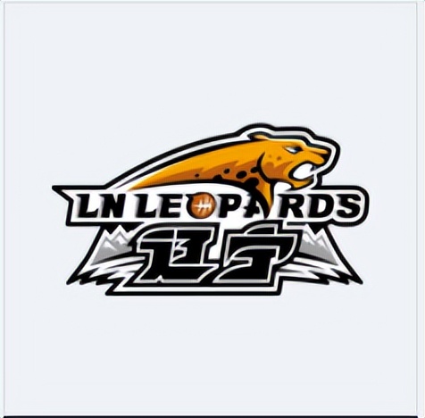 cba球队注册信息查询,cba辽宁本钢队1月17日赛程