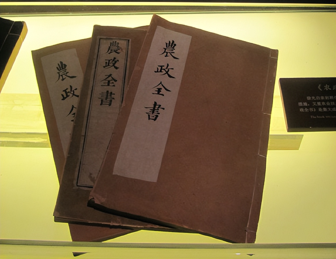 徐光启：近代科学先驱，中西会通第一人，差点改变中华文明历史