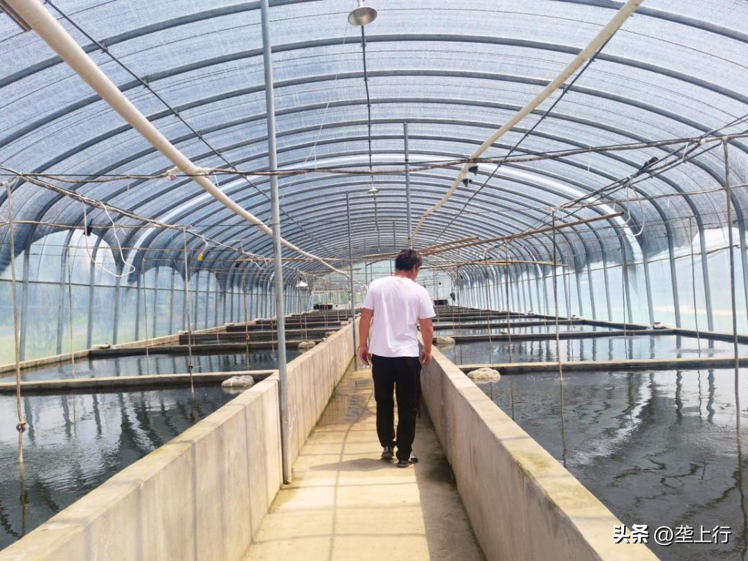 蓝色粮仓鱼满仓|“别墅”里的“鱼生赢家”