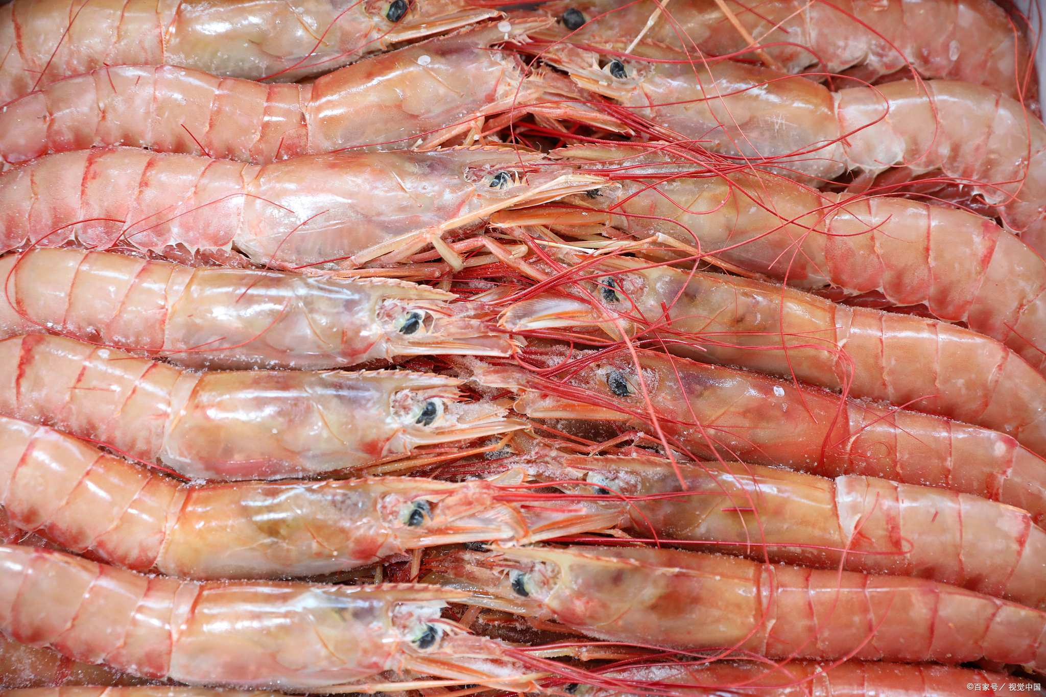 连云港特产烟光虾,连云港特产干虾怎么吃