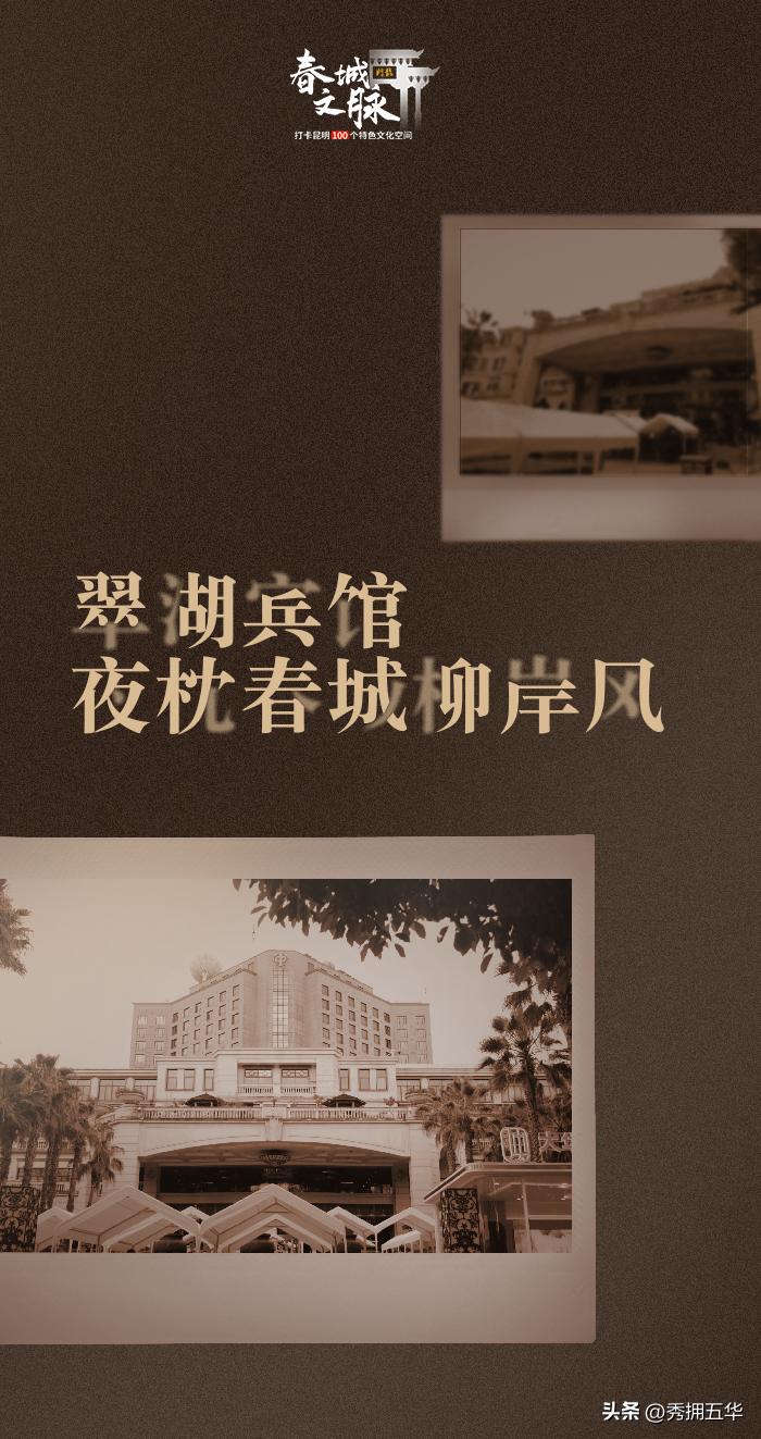 春城文脉丨翠湖宾馆夜枕春城柳岸风