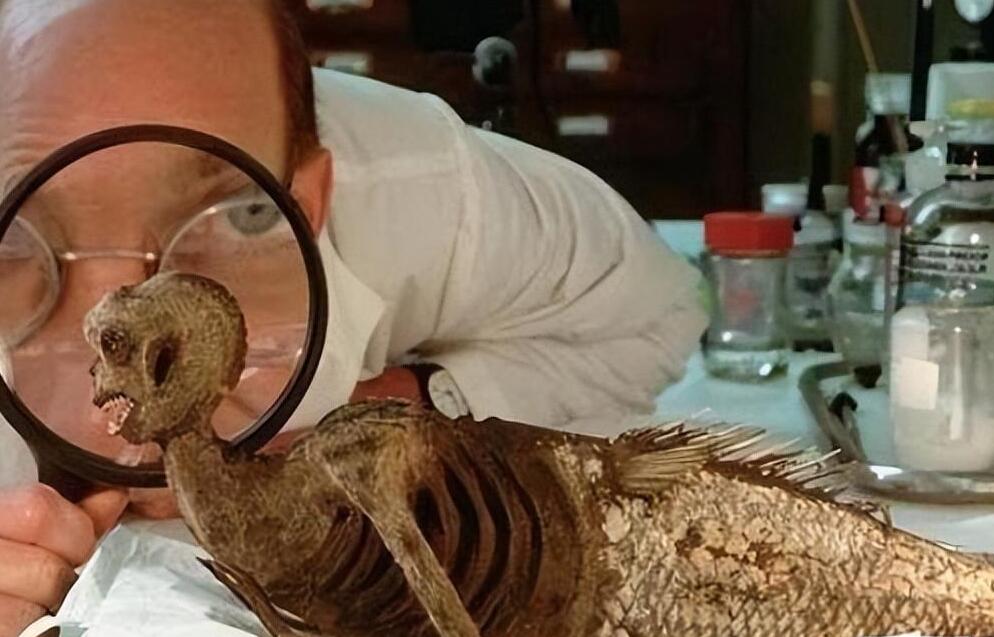 渔民一网捞1500多斤大黄鱼,渔民捞满一网鱼视频