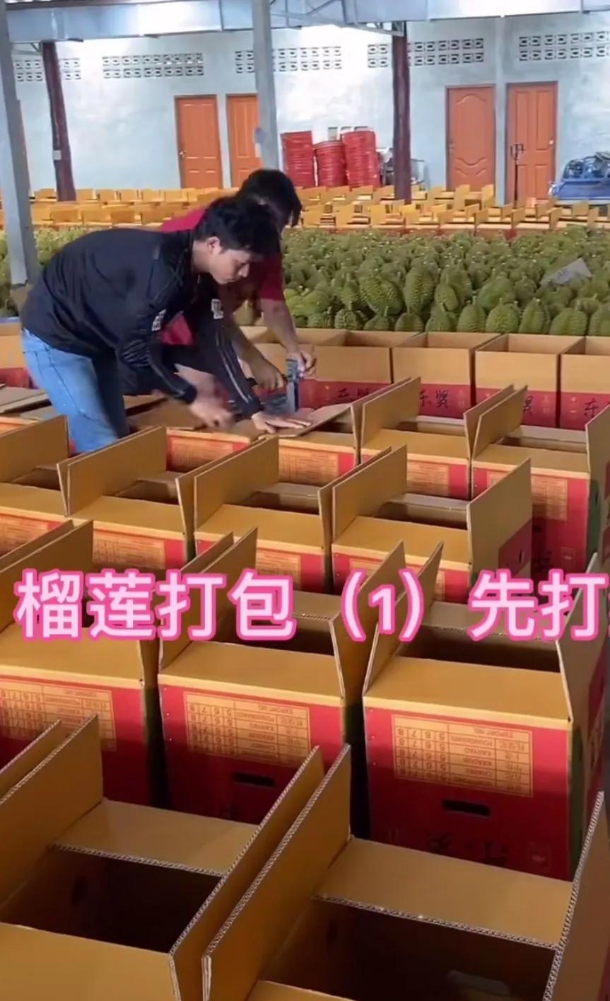 榴莲盲盒是啥意思,购买榴莲盲盒全过程