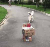 兄弟抢红包是挺快的，就是有点费手机，这屏幕得经常换吧，哈哈哈