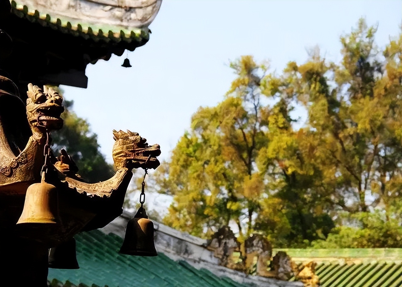 letsgo一周目图文攻略,letsgo图鉴攻略