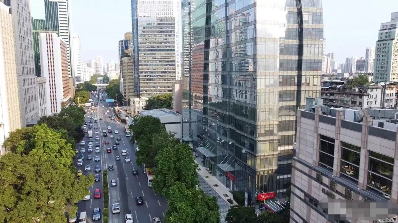 一亩地的茶树一年能收入多少钱,种一亩茶树一年的收入多少钱