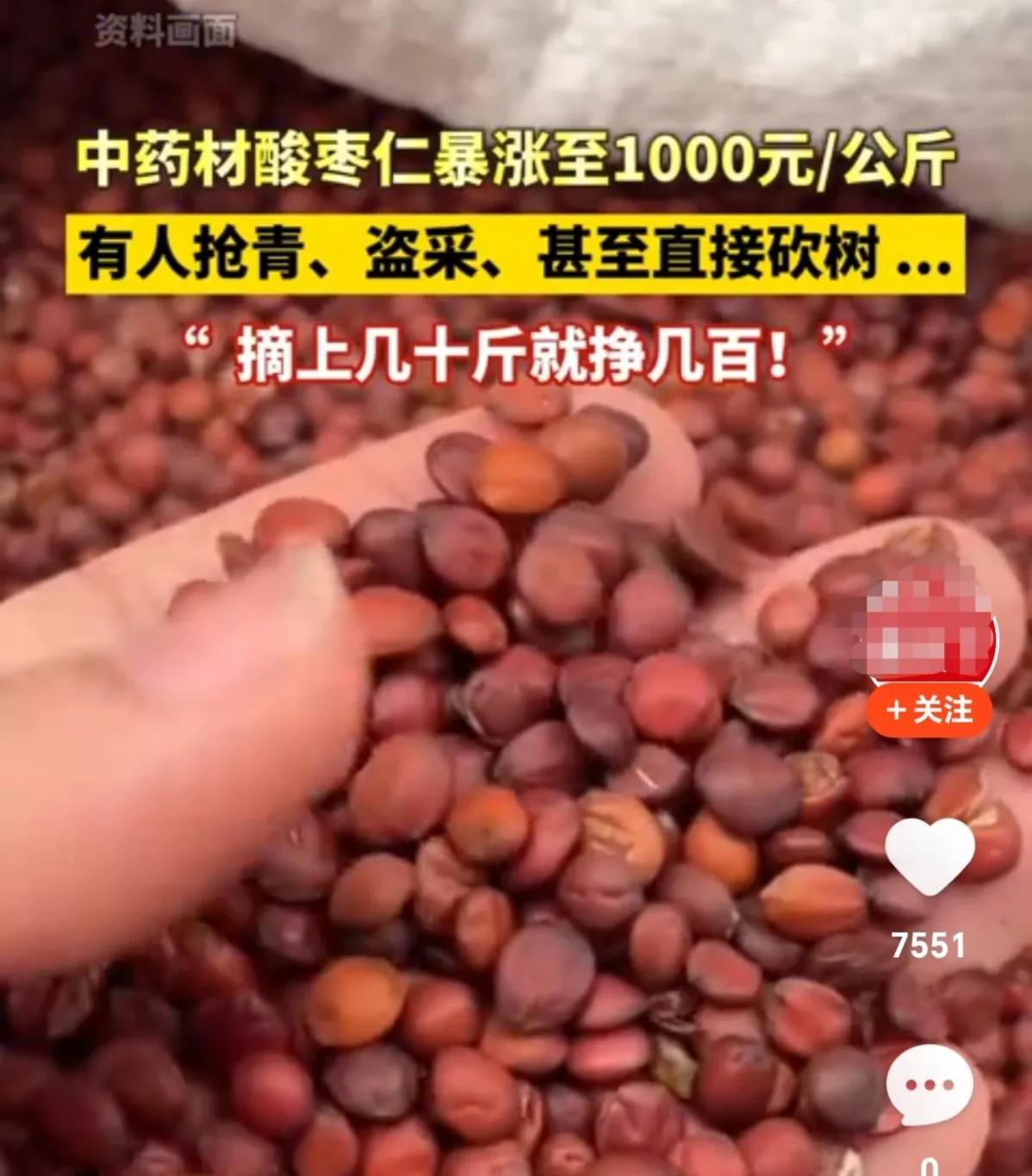 中药材酸枣仁暴涨,中药材酸枣仁价格暴涨002281