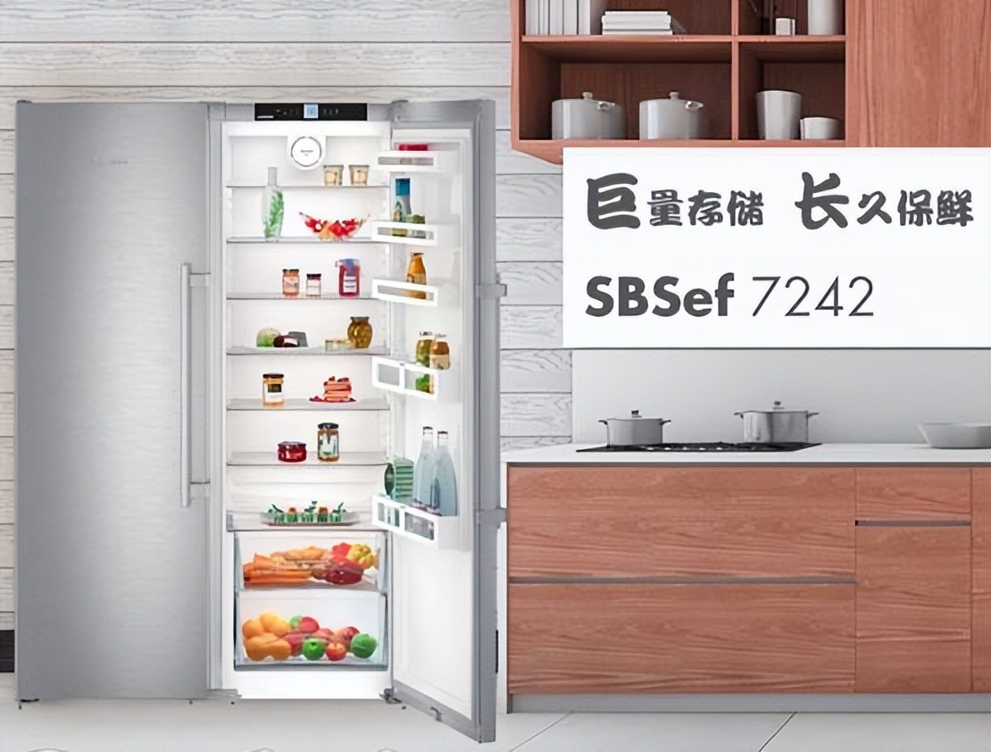 冷冻室容量最大是哪款冰箱,推荐几种冷冻大于冷藏的冰箱