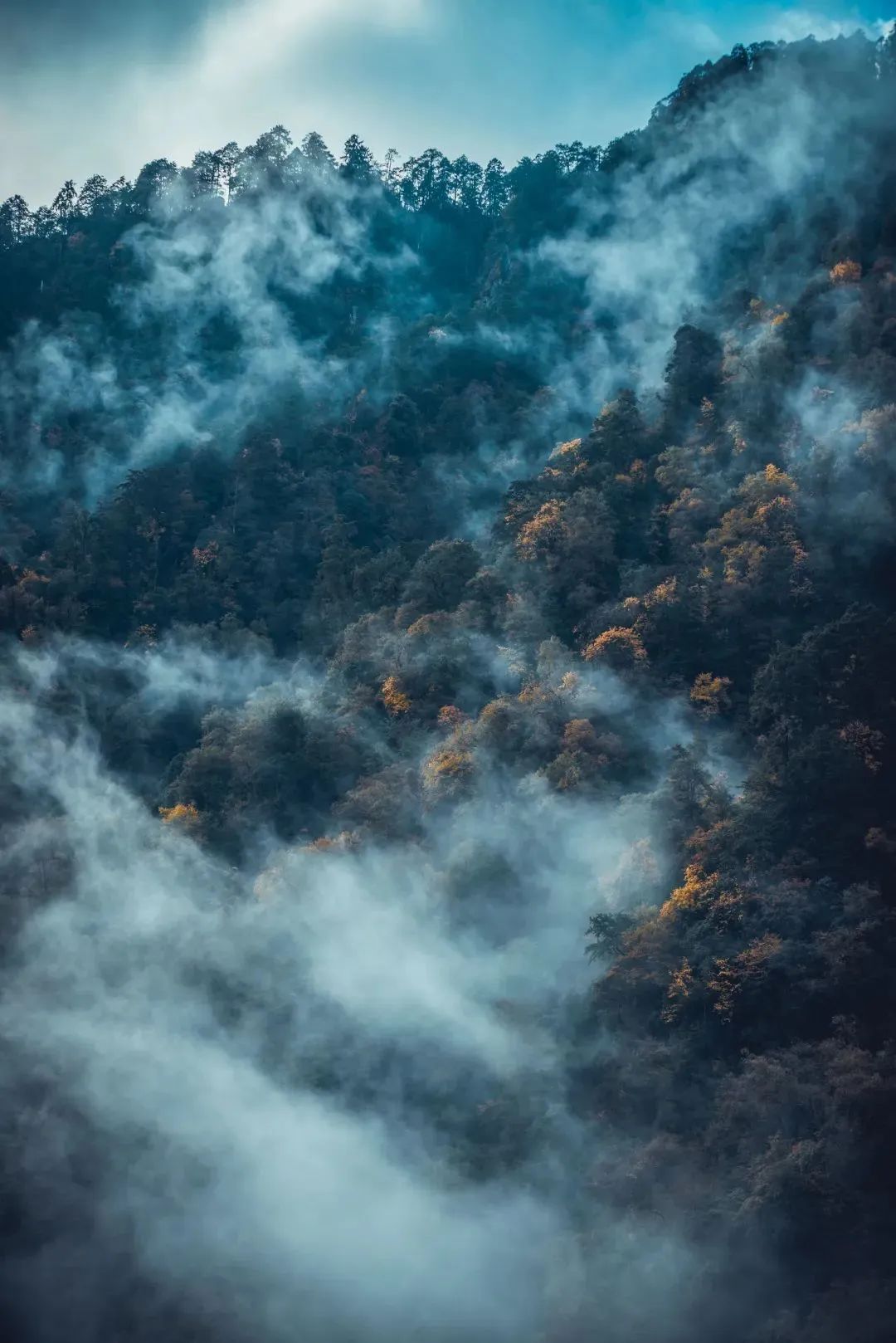 甘孜文旅局长化身侠客火出圈,火出圈啦