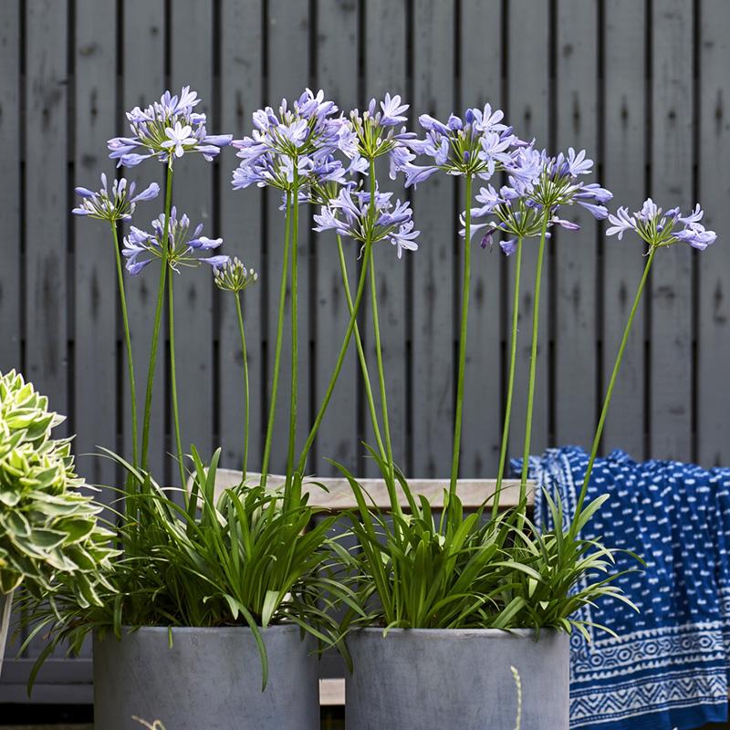 广西挖骨灰坛,工人挖出骨灰缸