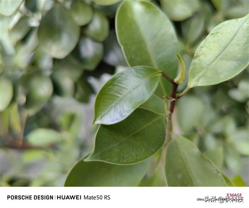 华为mate50rs保时捷设计超微距长焦,华为mate50rs保时捷4g网络评测