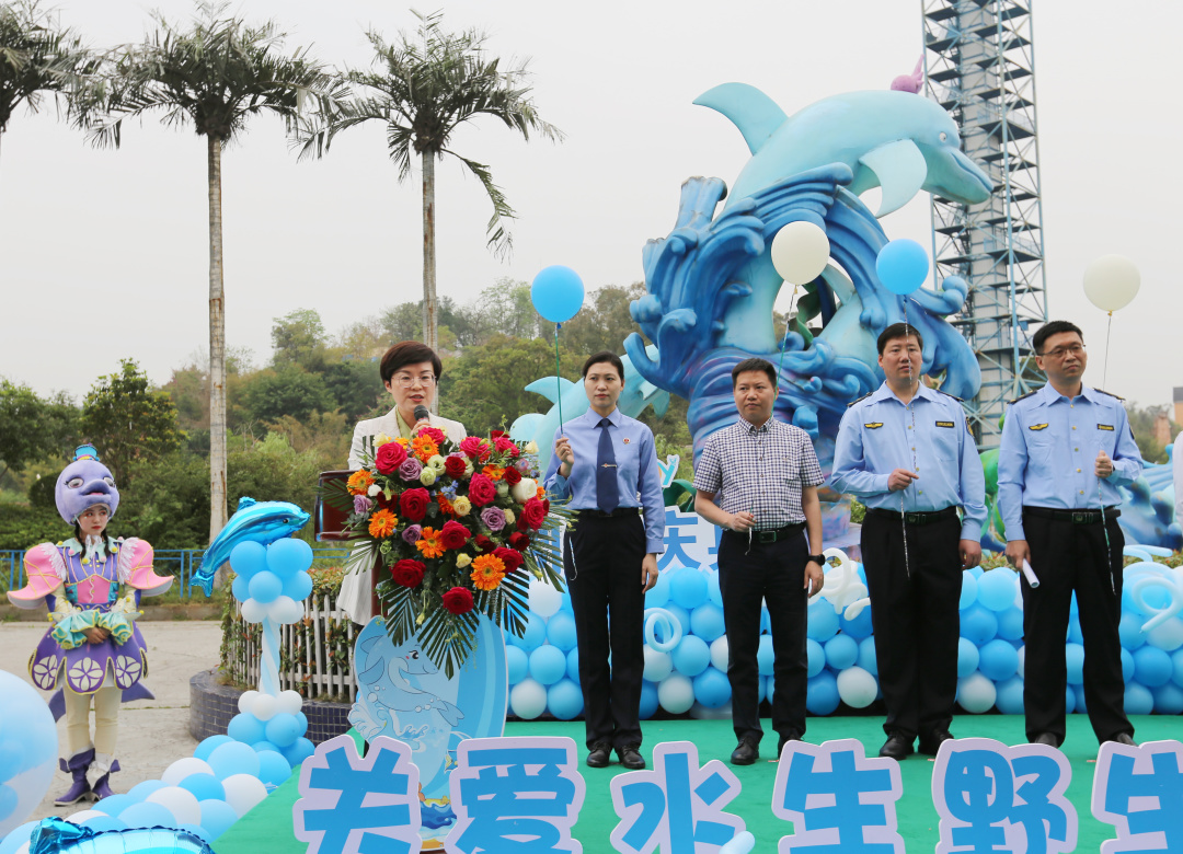 小海豚重庆南川,小海豚2岁4个月