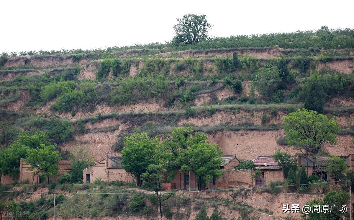 唐都浪子《饥荒年代关中往事》之：烧毛豆