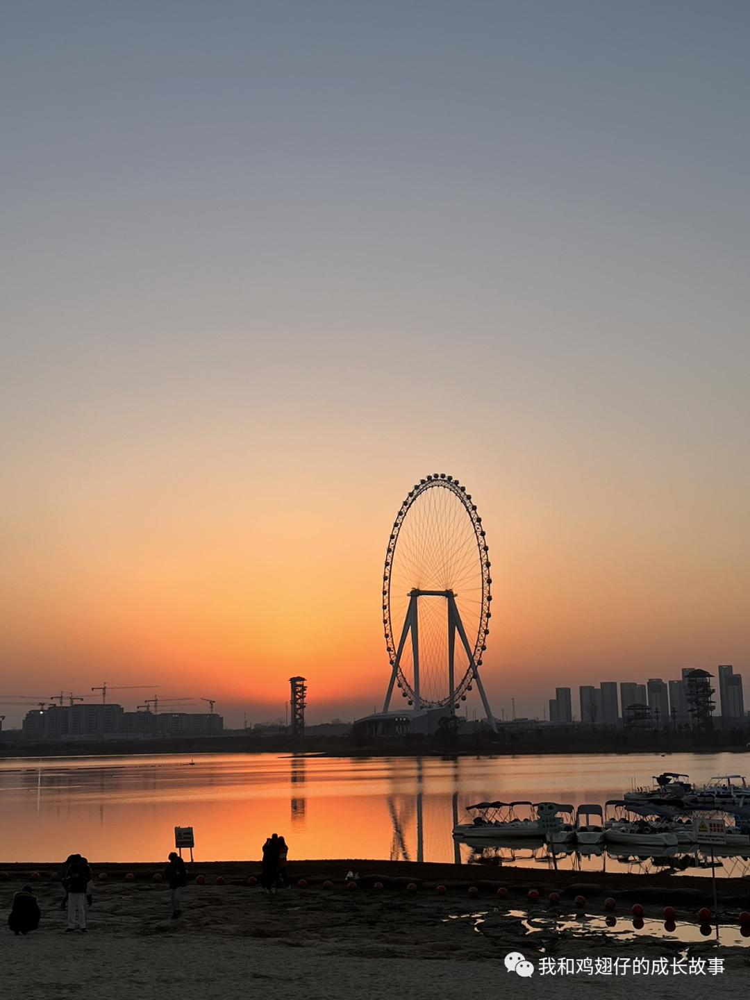 爱美丽推荐打卡第76|合肥必打卡|草坪+湖泊+游乐园+萌宠市集+花海