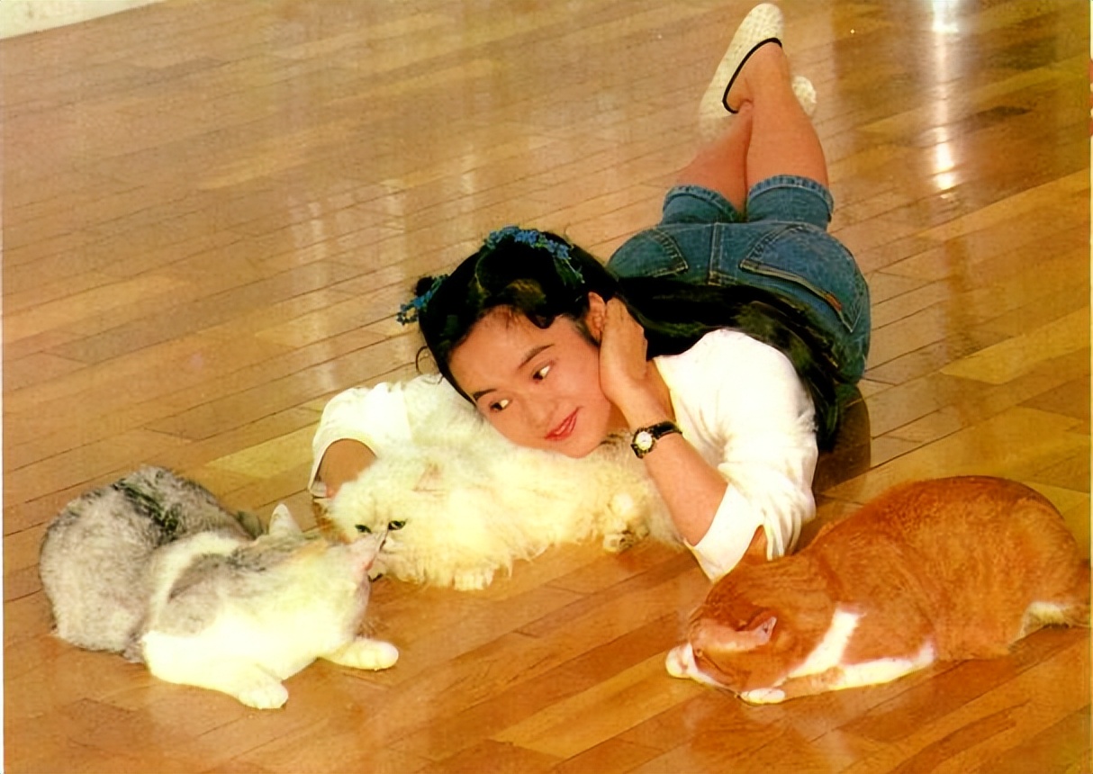 香江群音所有歌手名单,香江美人叶蕴仪