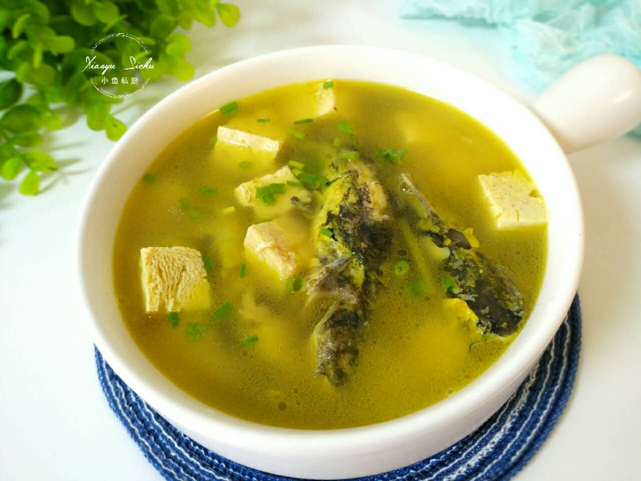 老年人适合饮用高蛋白质的食物吗,中老年人适合吃高蛋白食物有哪些