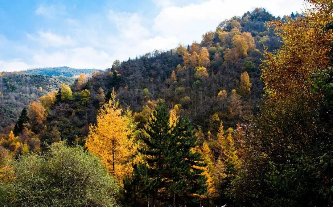 蔬菜之乡靖远,蔬菜之乡武山