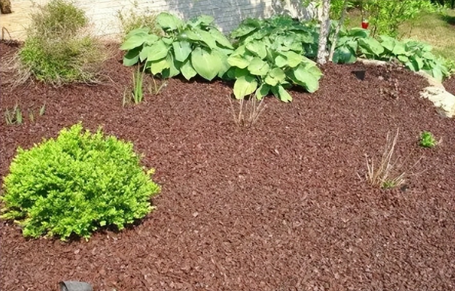 新英格兰地区有哪些,新英格兰地区版图