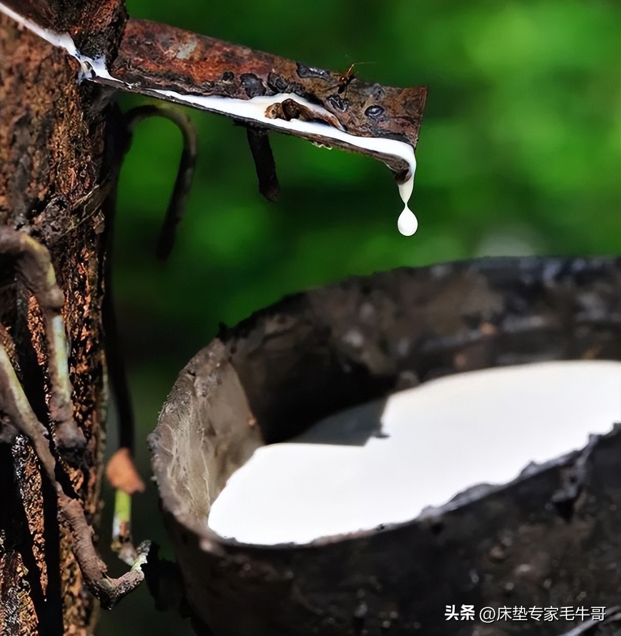 乳胶床垫防压防塌,乳胶床垫的陷阱