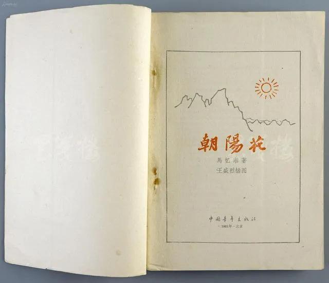 红色太阳花花语和寓意,红色朝阳花