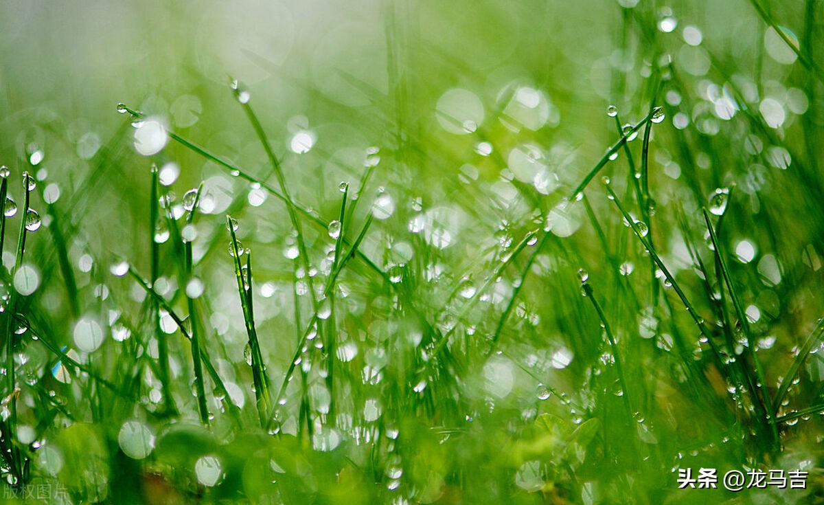 二月二龙抬头的诗词三十六首,二月二龙抬头古诗词赏析