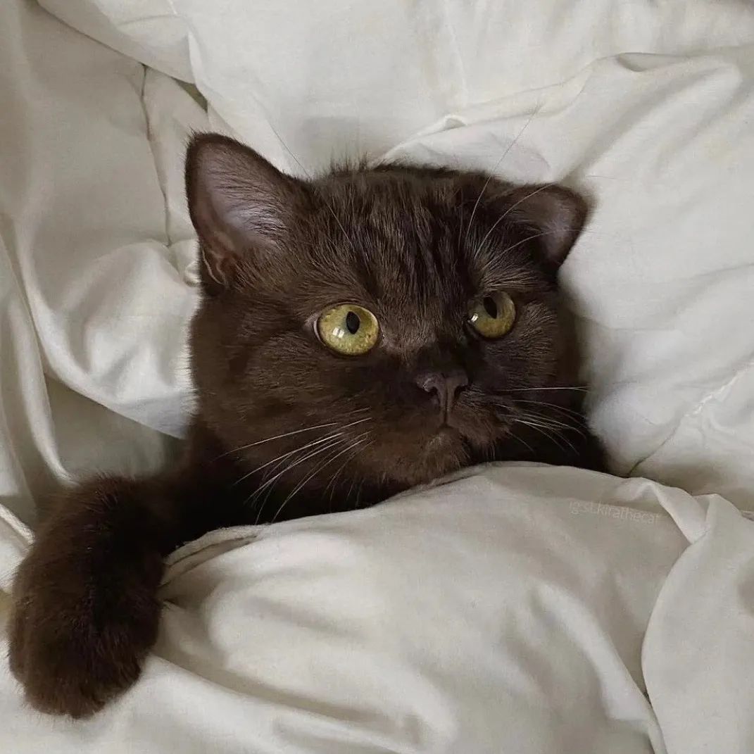 头像好看系列,头像好看的图案