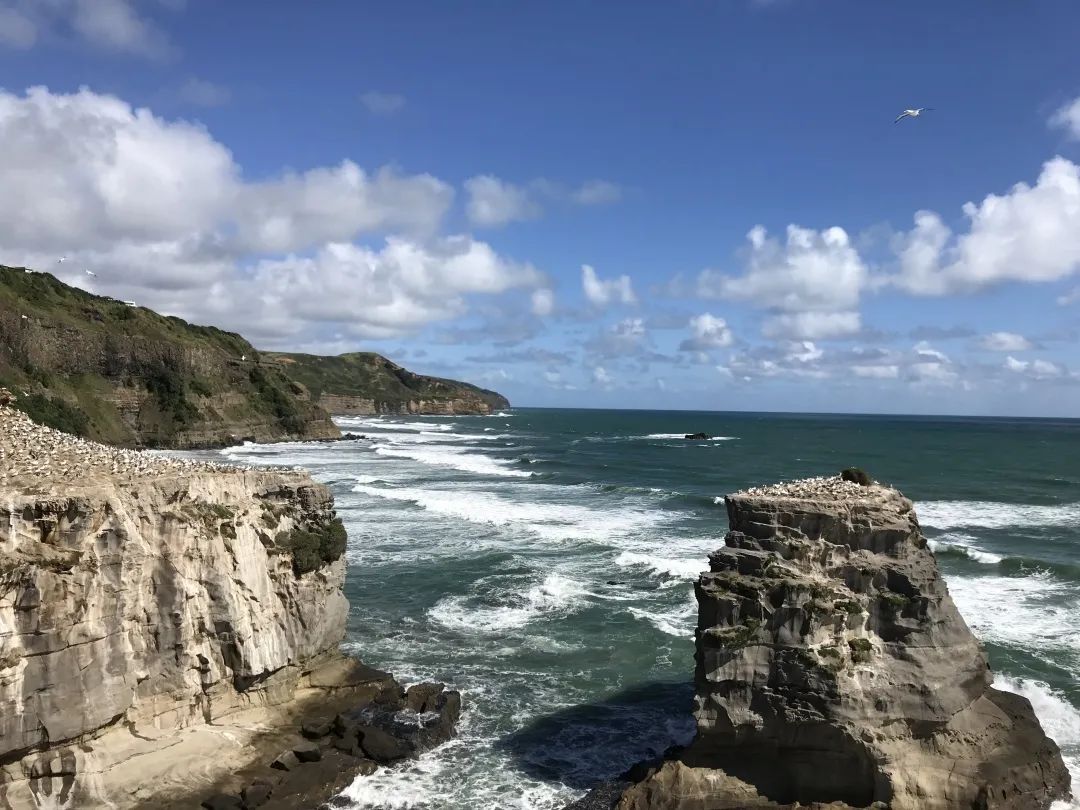 写给不被疫情束缚的心:用文字“云”游新西兰全境