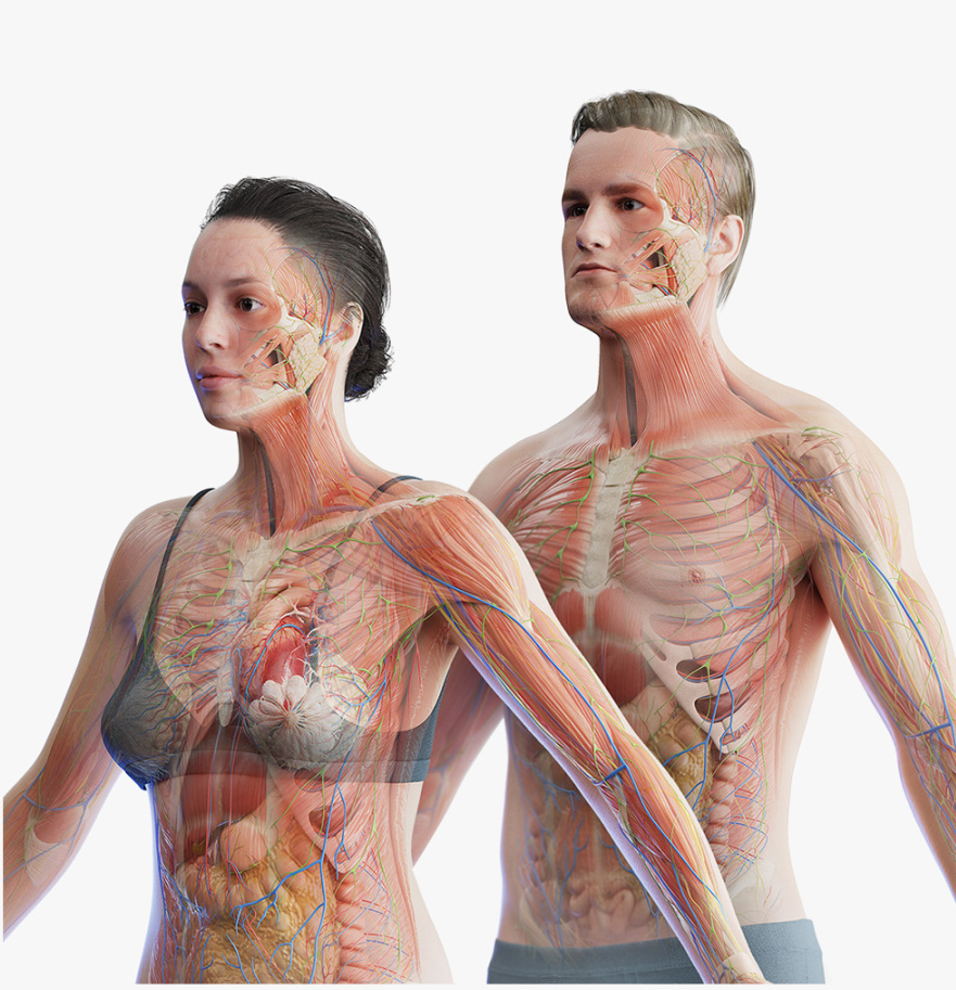 胸大肌太紧了怎么办？切记不要直接拉伸！