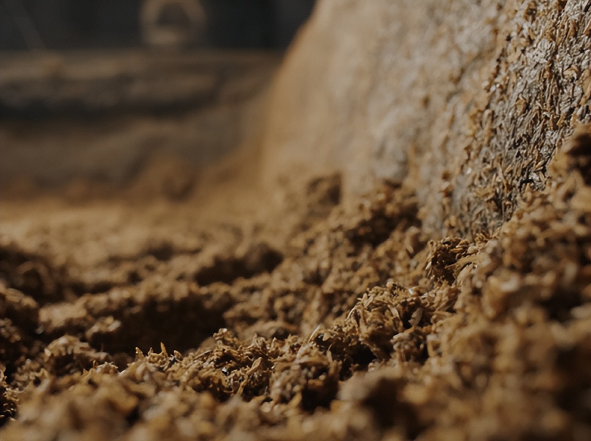 中科院微生物研究所白逢彦,中科院微生物研究所食用菌种