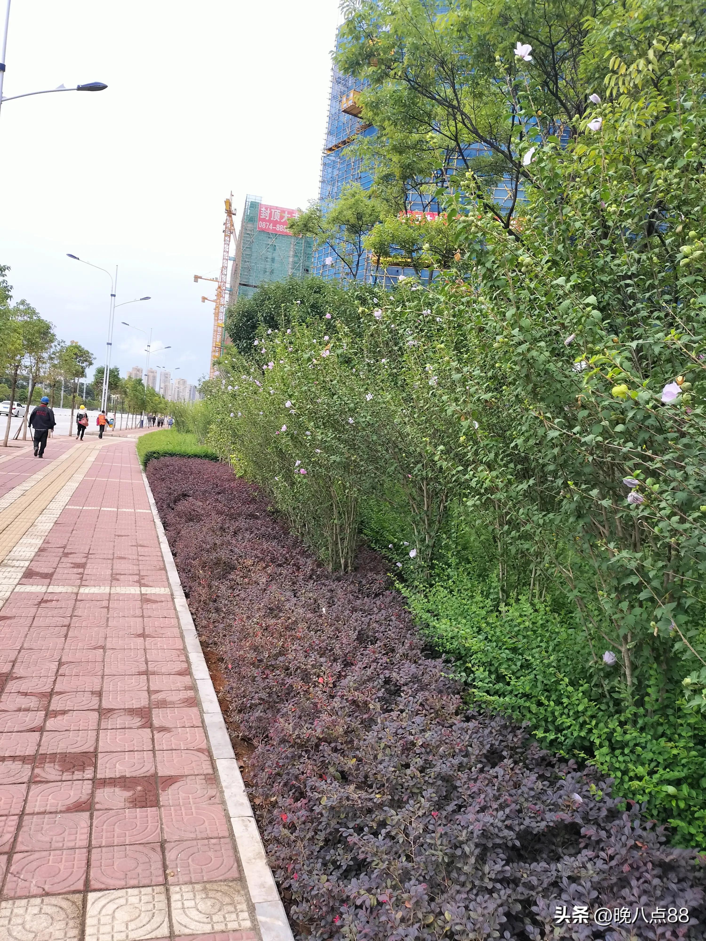 曲靖第一人民医院服务态度好吗,为什么公立医院的服务态度很差