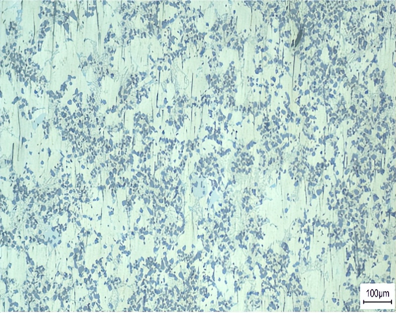 文昌新材徐骏教授：电磁搅拌吸铸技术及其在铝陶复合材料中的应用