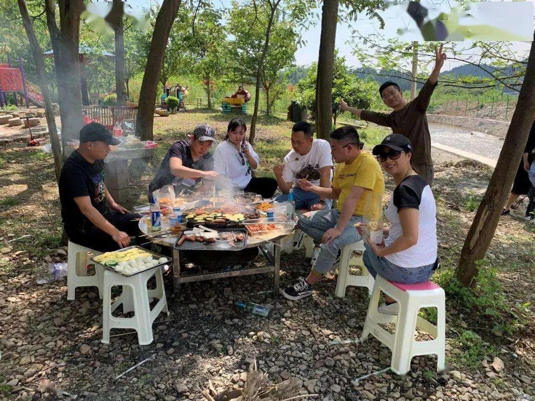农村赚100万的项目有哪些,农村荒地种植什么最赚钱