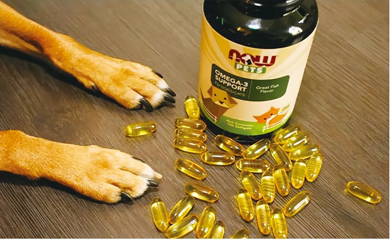 避坑指南内容,避坑指南提醒