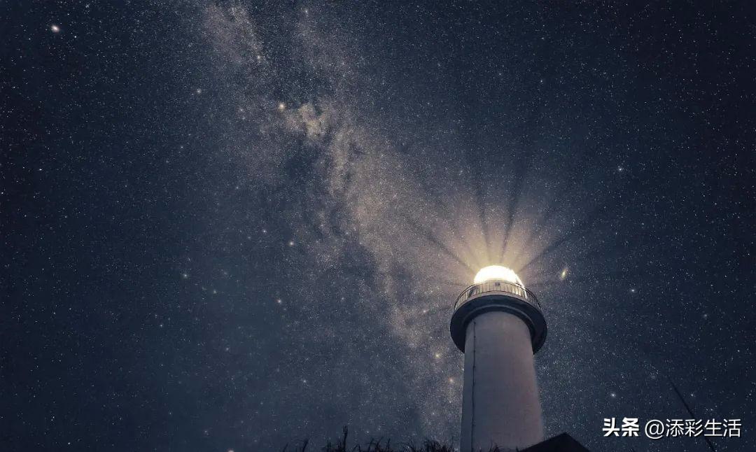 新高考作文素材书推荐,新高考议论文作文素材