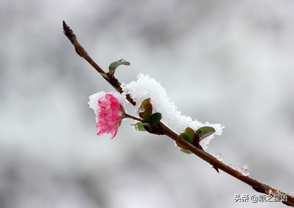 浙江宁波象山雪景,宁波雪景最新视频