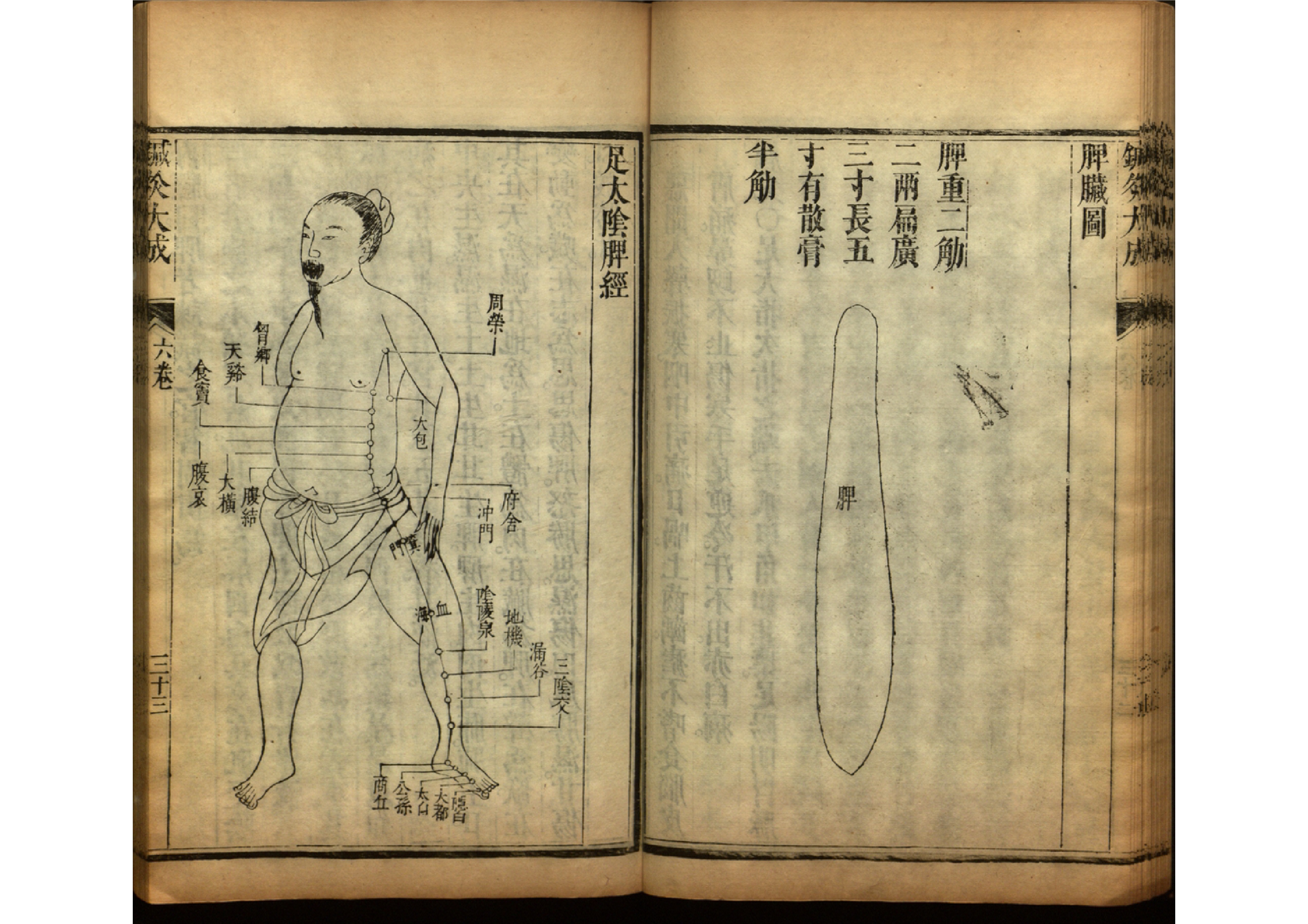 针灸大成古书图片,《针灸大成》古籍