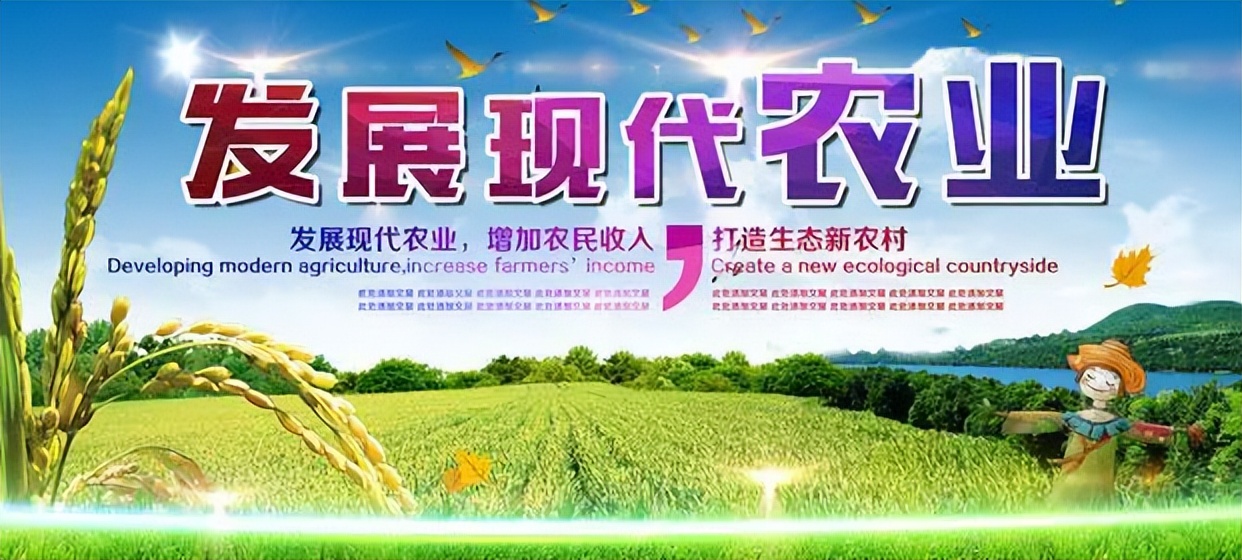 农业可持续性发展的理论与实践,农业技术创新推动农业现代化发展