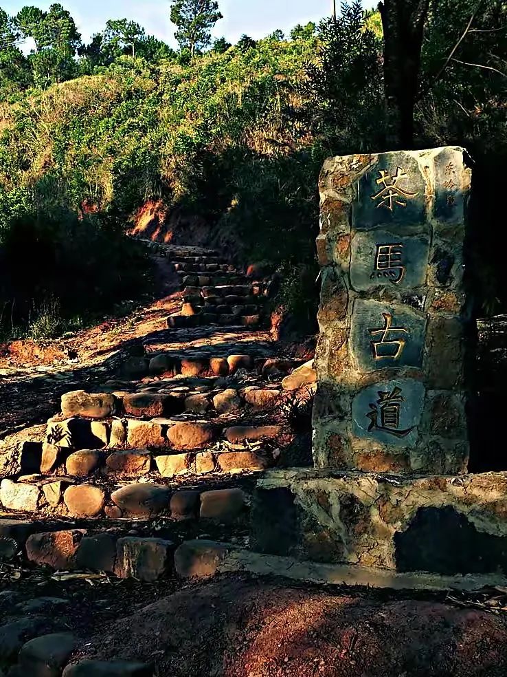 阿坝州十三个县哪个县最大,阿坝州十三个县城全景